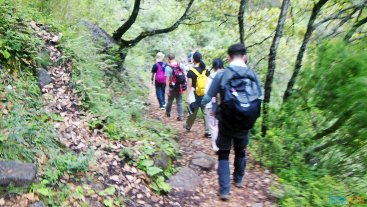 conew_dscn0361.jpg