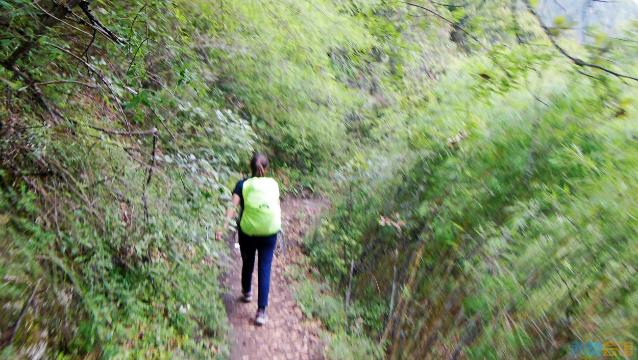 conew_dscn0359.jpg