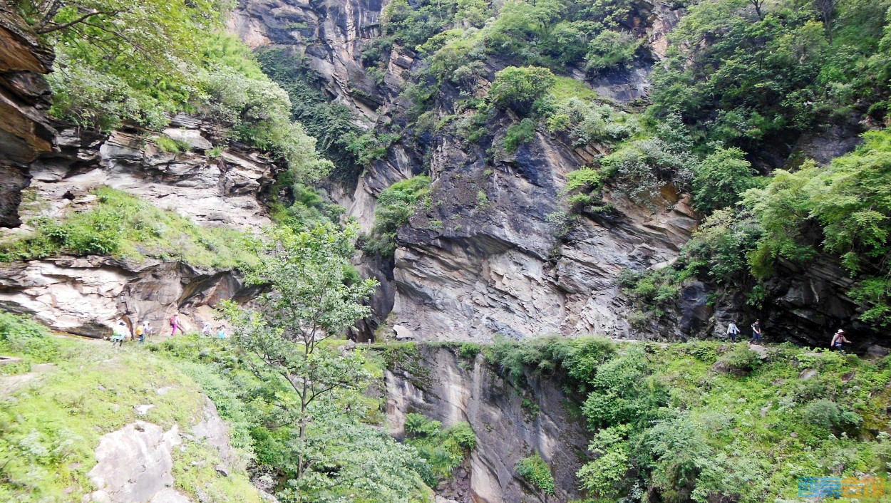 conew_dscn0408.jpg