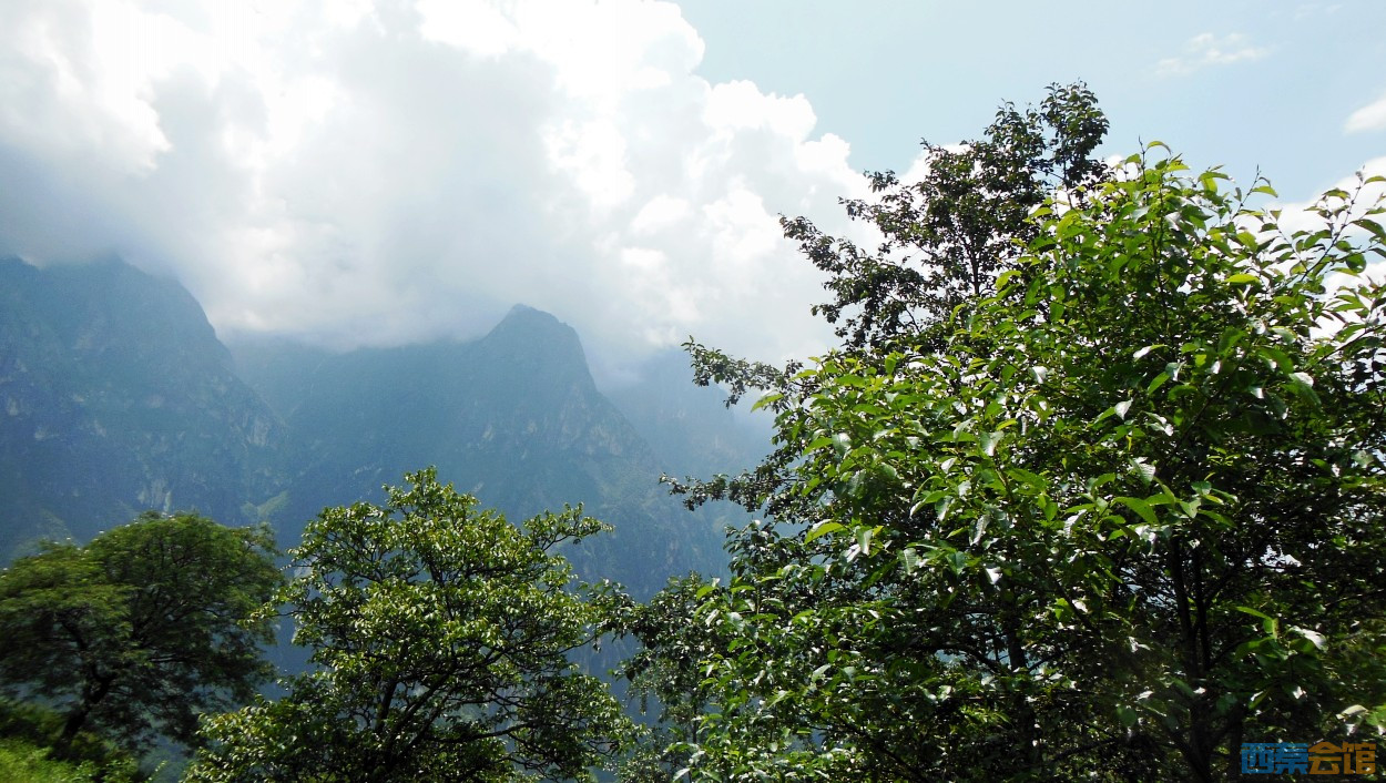 conew_dscn0425.jpg