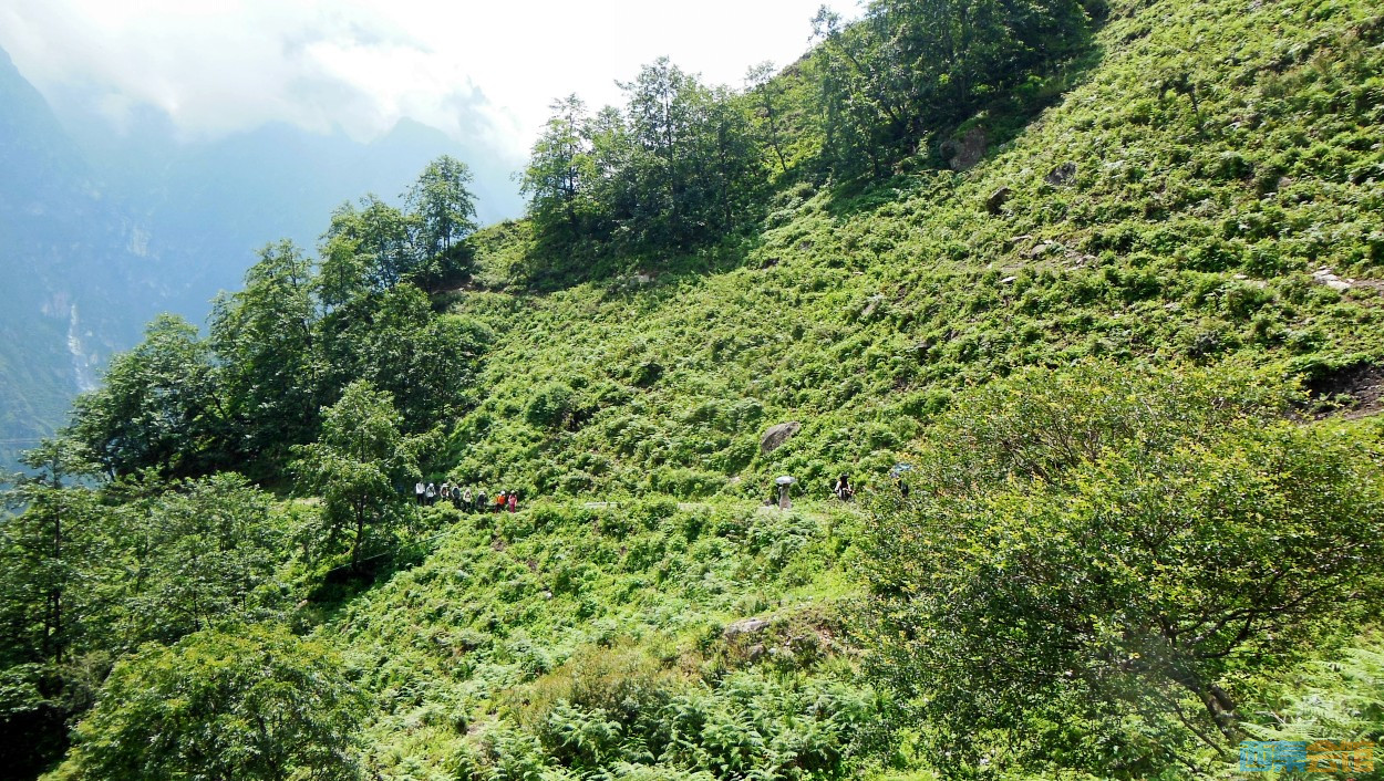 conew_dscn0430.jpg