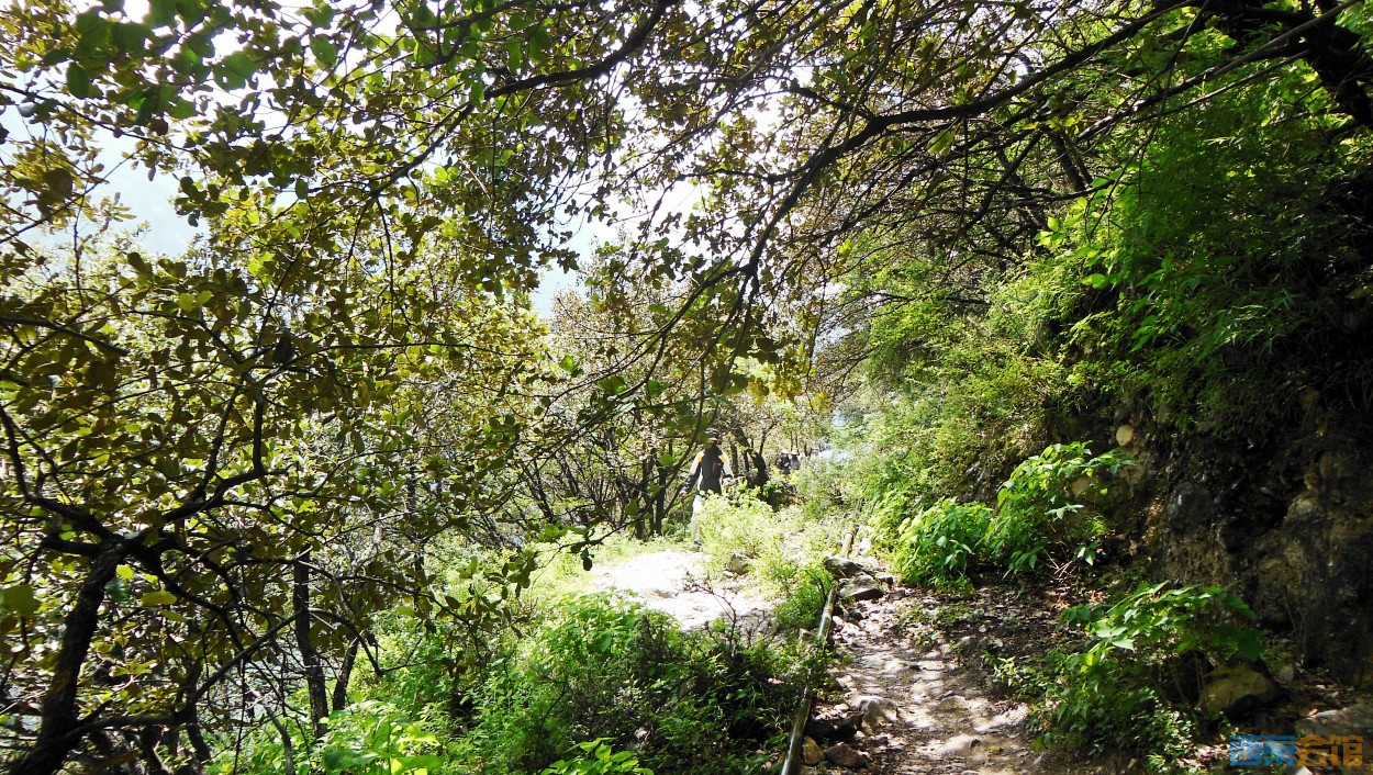 conew_dscn0449.jpg