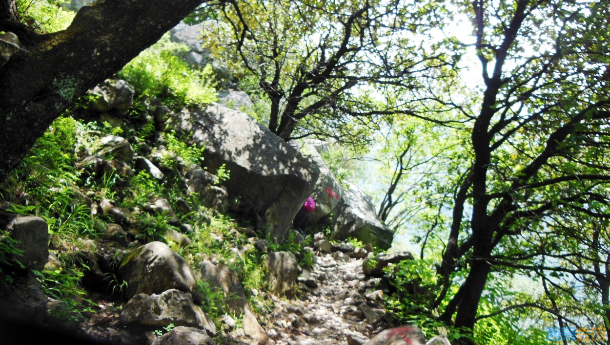 conew_dscn0451.jpg