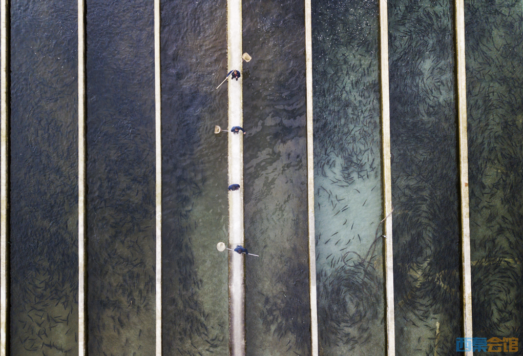 ΢ͼƬ_20230908174026.png