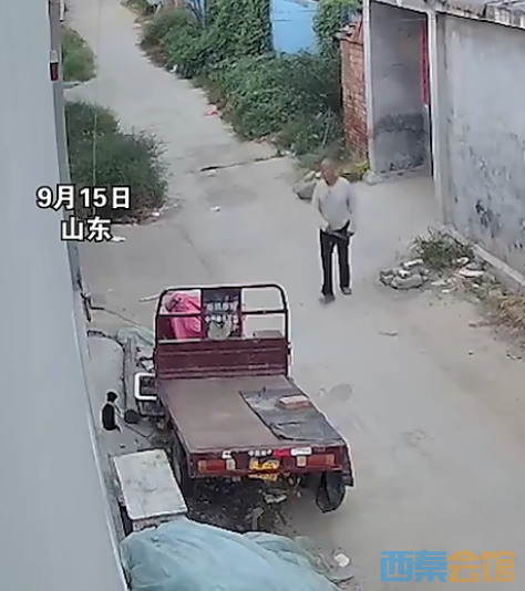 ΢Žͼ_20230919102112.png