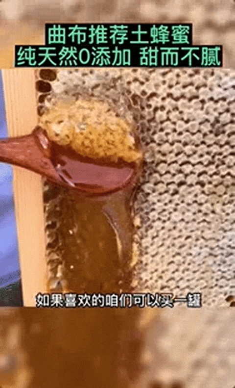 24.gif
