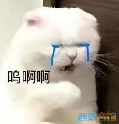 20230921133345front2_0_454747_FnYrXsf-5Uc-YCihqraJ60YM6wU0.jpg