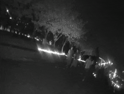 64.gif