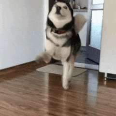 20230928132055front2_0_454747_FmMGZtPlsHH0OMnMIm9uQTWUVvEr.gif