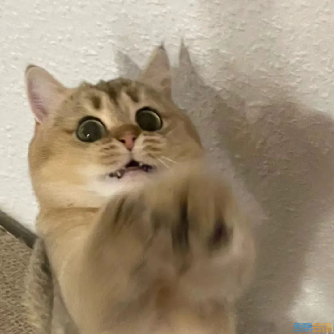 79.jpg