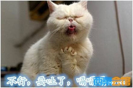 201253o741c9ascsfsoc71.jpg