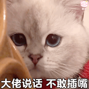 20231006051558front2_0_1767688_FjB4uTiDl8kFdYCJ7OJlqBmA288E.gif