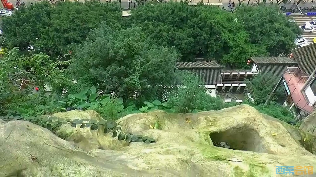 conew_qqͼ20231009084341.jpg