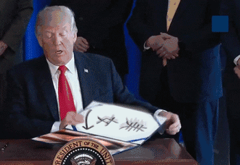 202420nhuwxhvfiavzawxa.gif