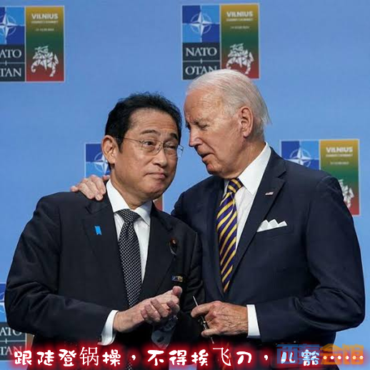 224945ayqvedg5jvljsqze (1).png