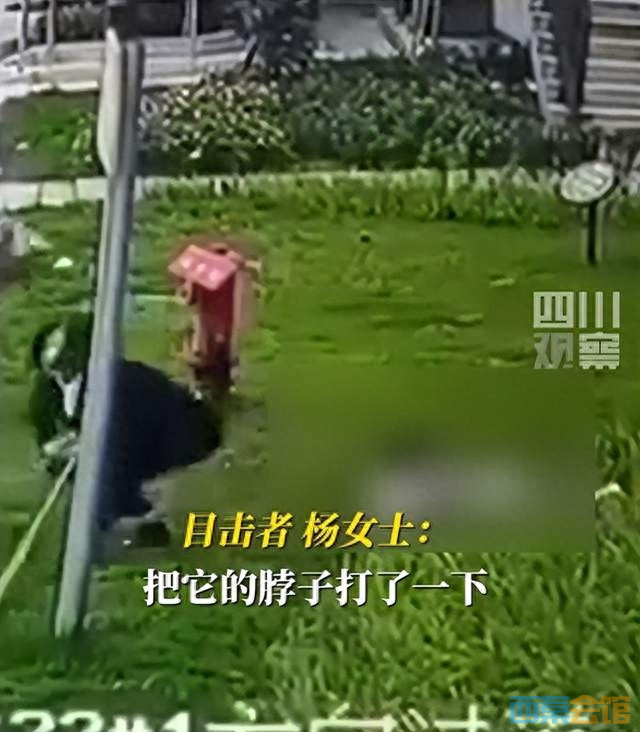 58.jpg