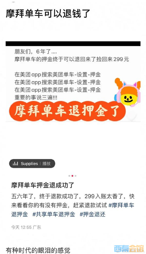 95.jpg