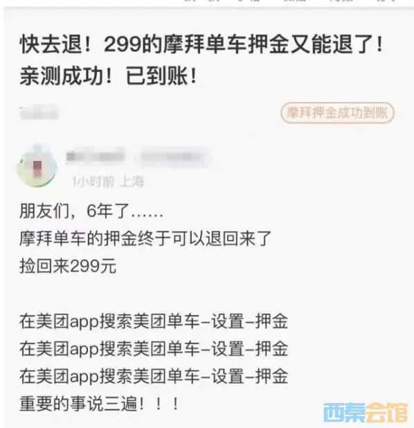 96.jpg