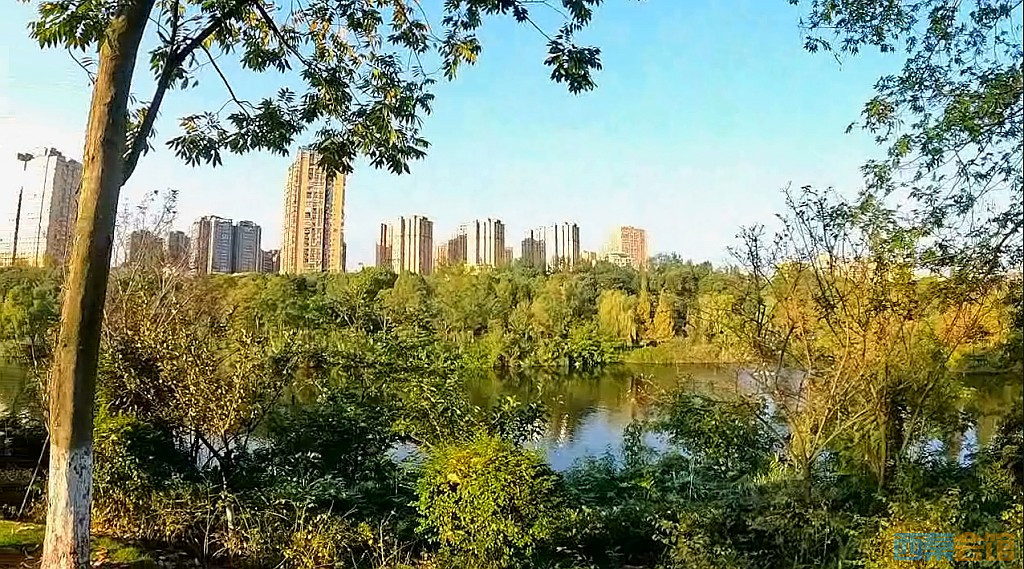conew_qqͼ20231022152515.jpg