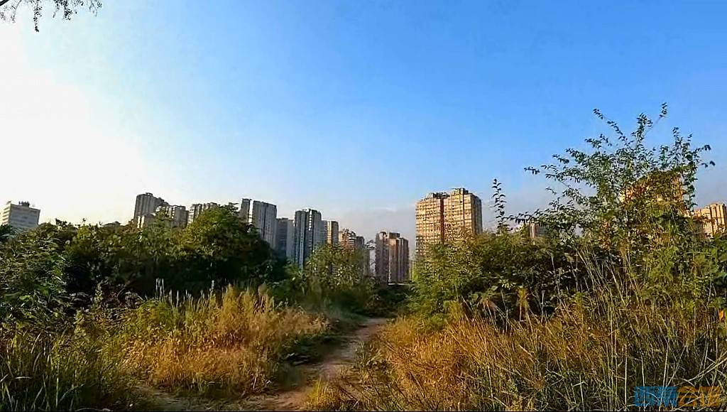 conew_qqͼ20231022152920.jpg
