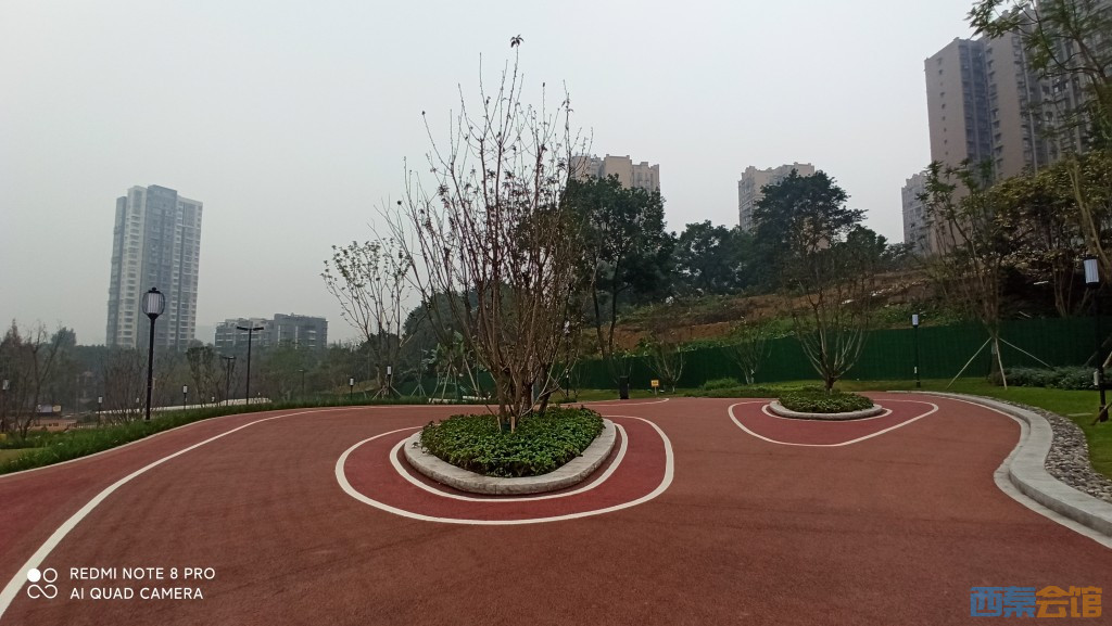 conew_1698206512691.jpg