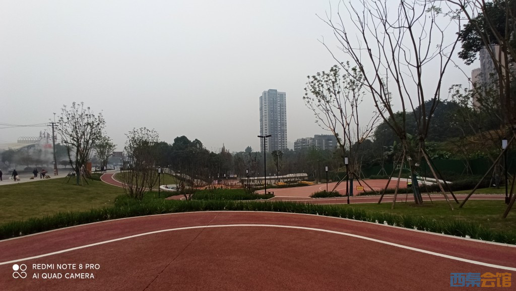 conew_1698206512664.jpg