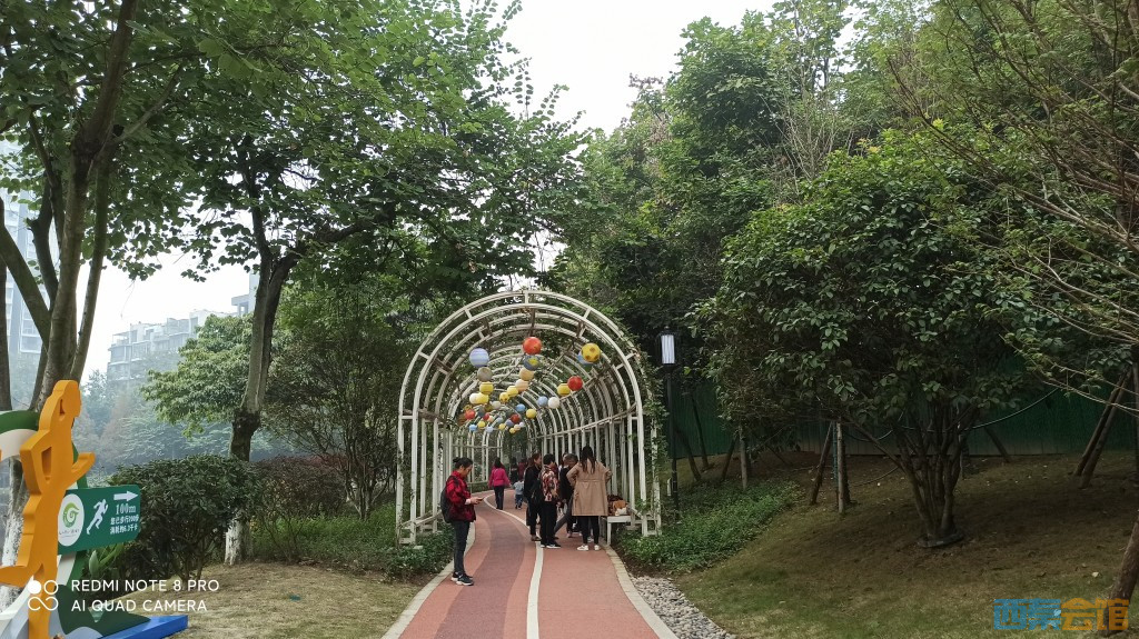 conew_1698206512334.jpg