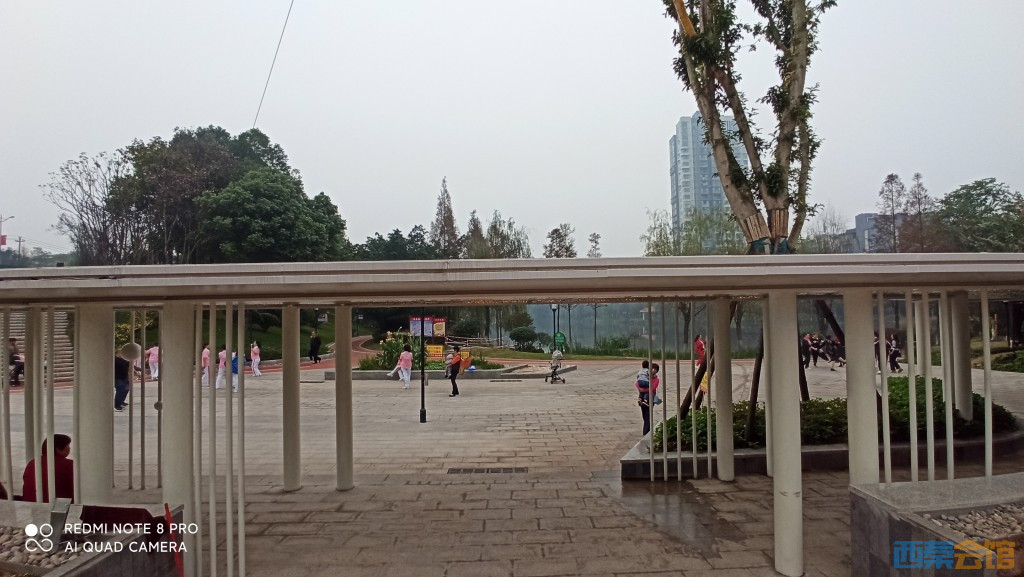 conew_1698206512425.jpg
