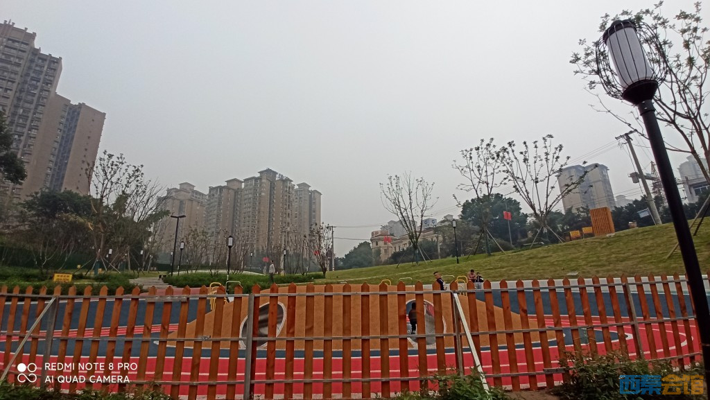 conew_1698206512265.jpg