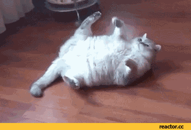 20231103221810front2_0_332895_FnbElsrYh5lk78z5mJR5HgoSepxy.gif