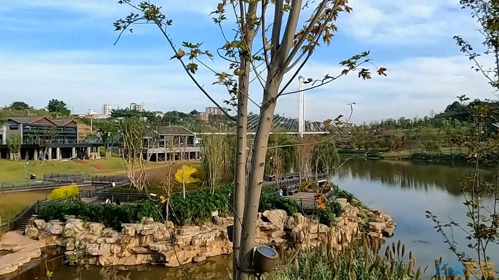 conew_qqͼ20231106090454.jpg