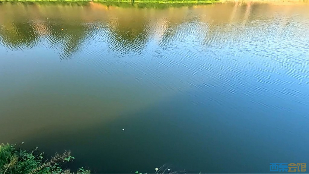 conew_qqͼ20231106123125.jpg