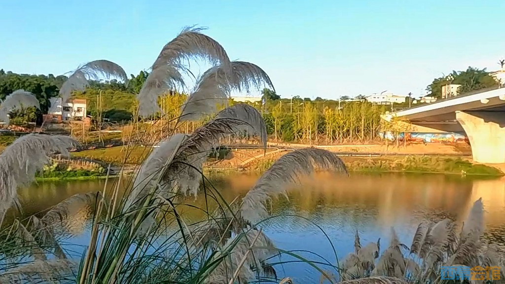conew_qqͼ20231106123339.jpg