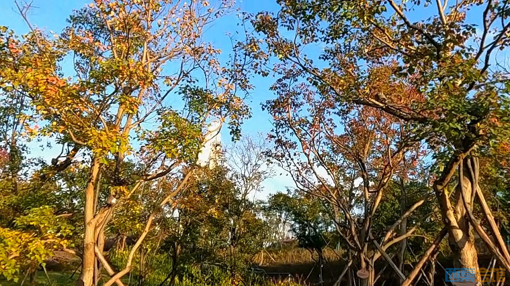 conew_qqͼ20231106122547.jpg