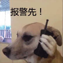 3.gif