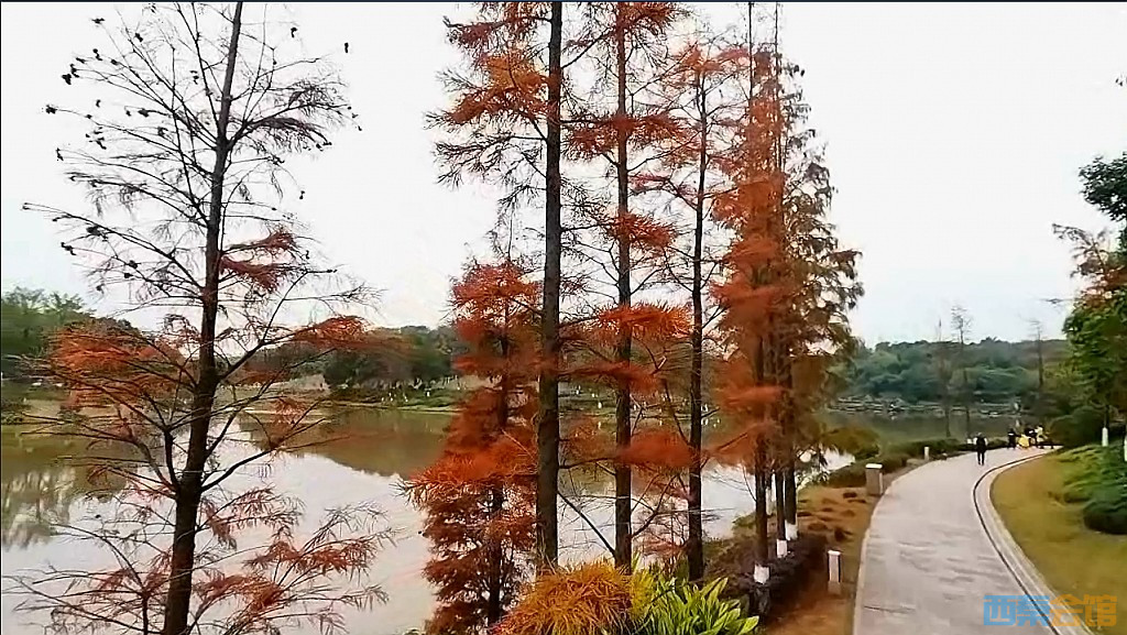 conew_qqͼ20231218195629.jpg