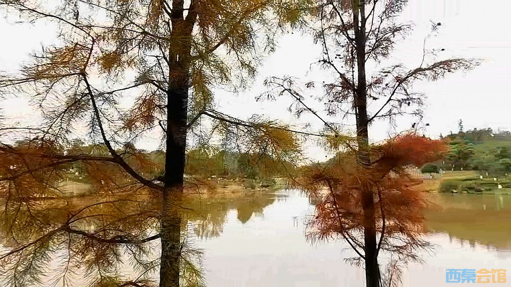 conew_qqͼ20231218200007.jpg