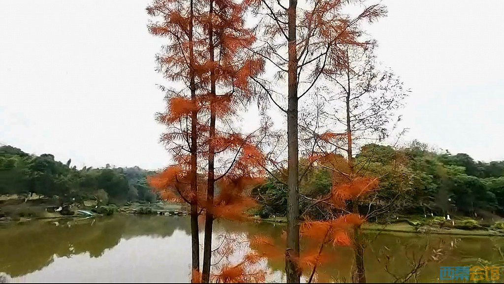 conew_qqͼ20231218200621.jpg