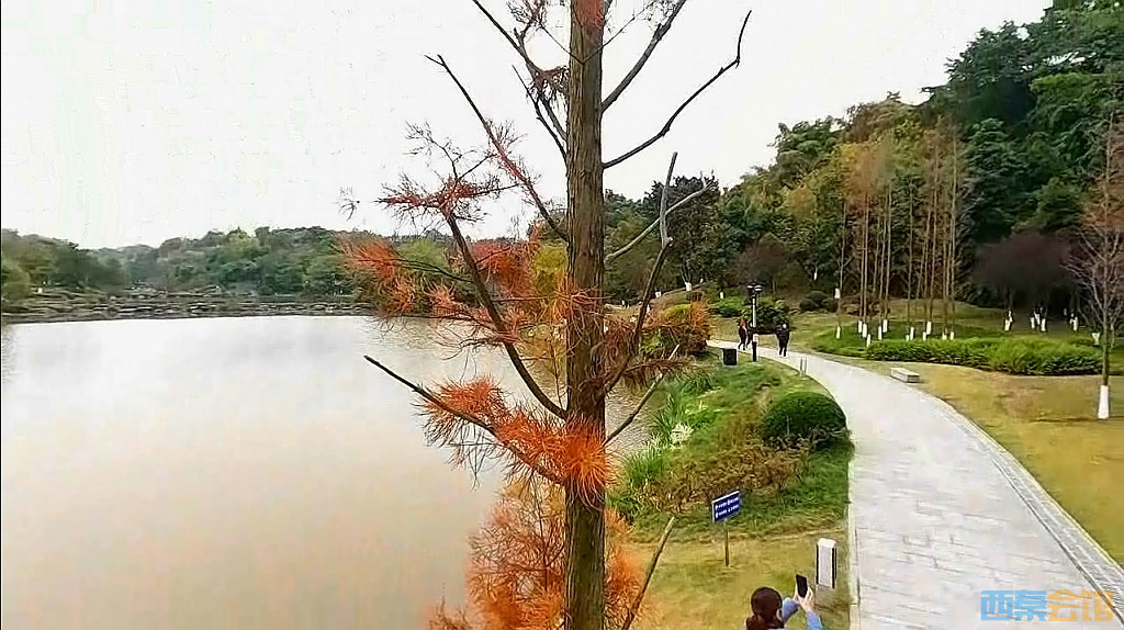 conew_qqͼ20231218200348.jpg