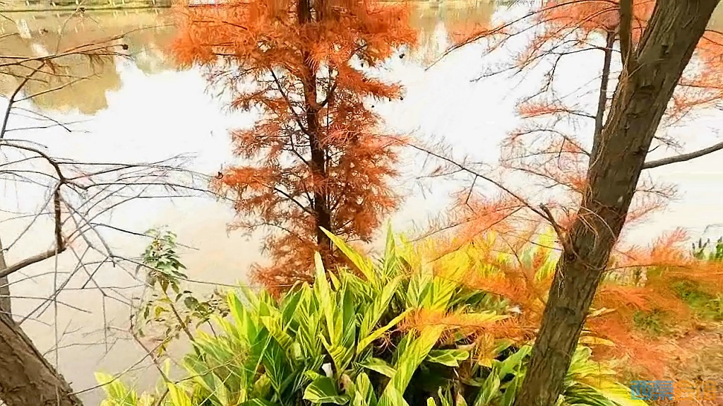conew_qqͼ20231218195823.jpg