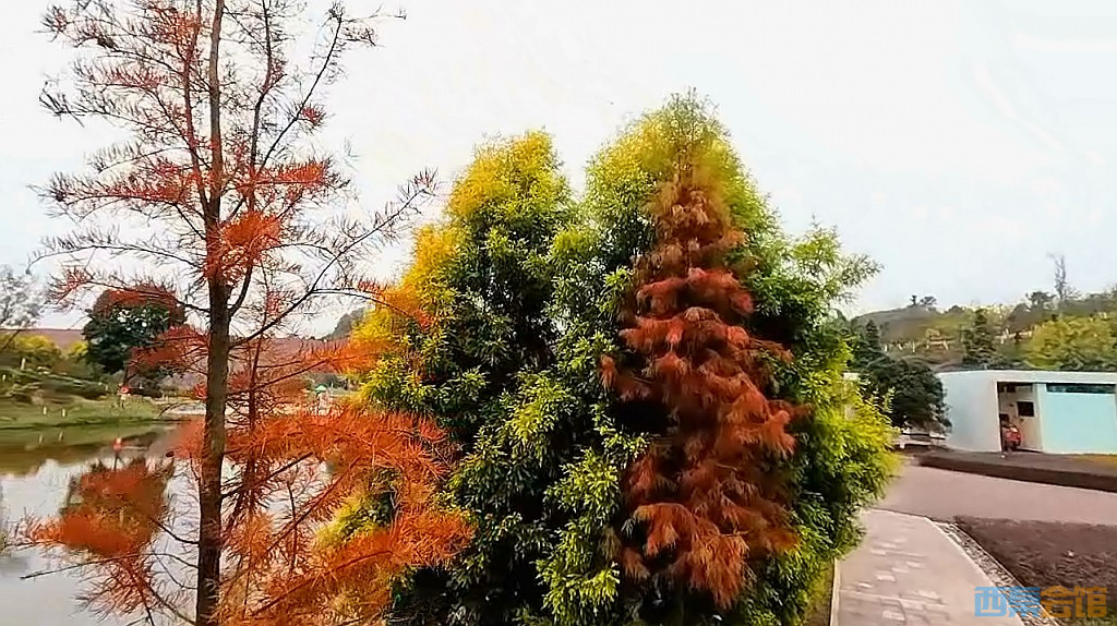 conew_qqͼ20231218201832.jpg