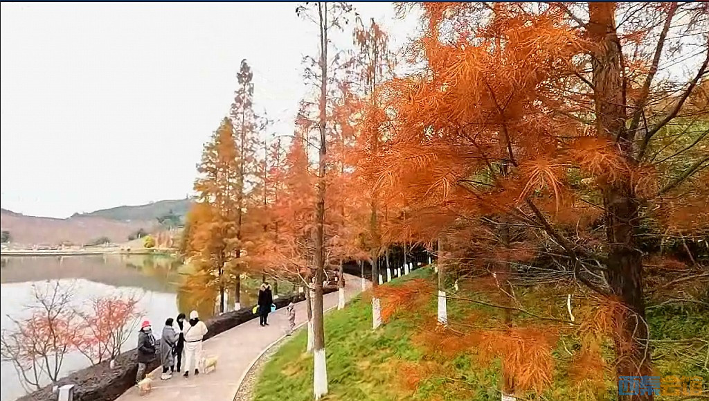 conew_qqͼ20231218201312.jpg