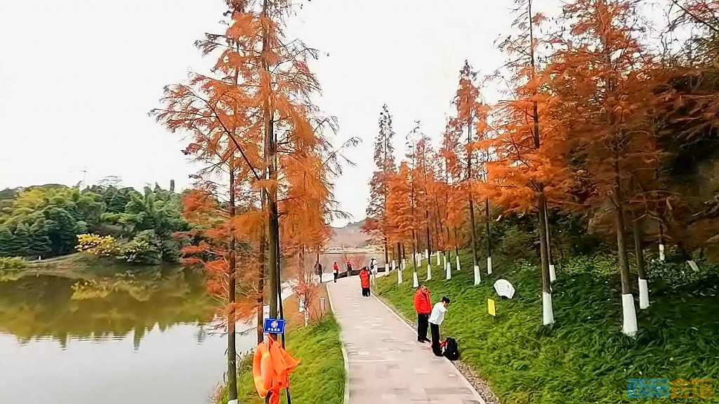 conew_qqͼ20231218201132.jpg