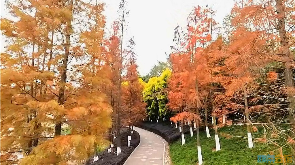 conew_qqͼ20231218201419.jpg