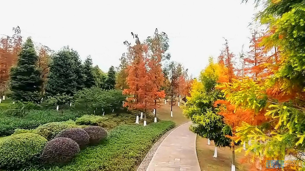 conew_qqͼ20231218201942.jpg