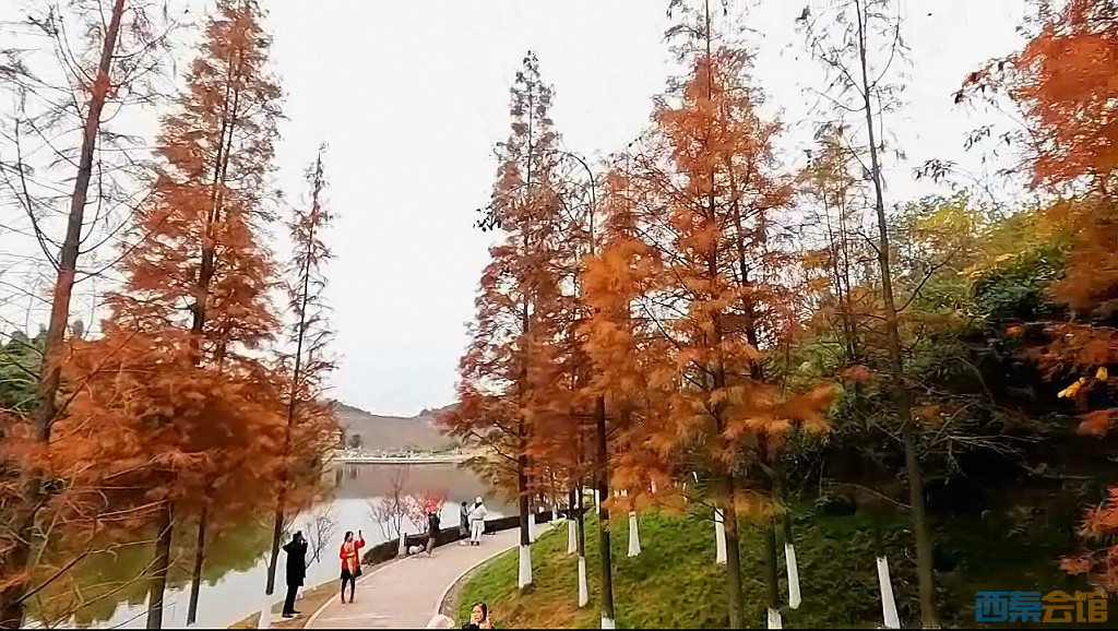 conew_qqͼ20231218201211.jpg