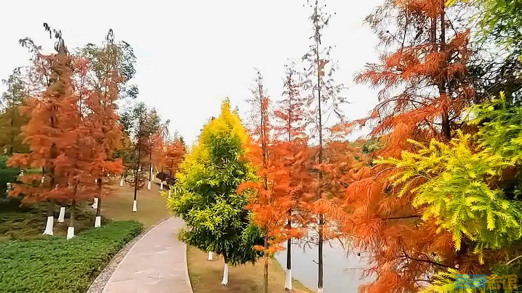 conew_qqͼ20231218201957.jpg