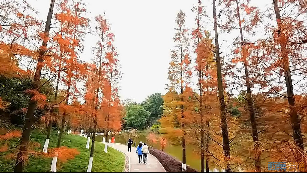 conew_qqͼ20231218203233.jpg