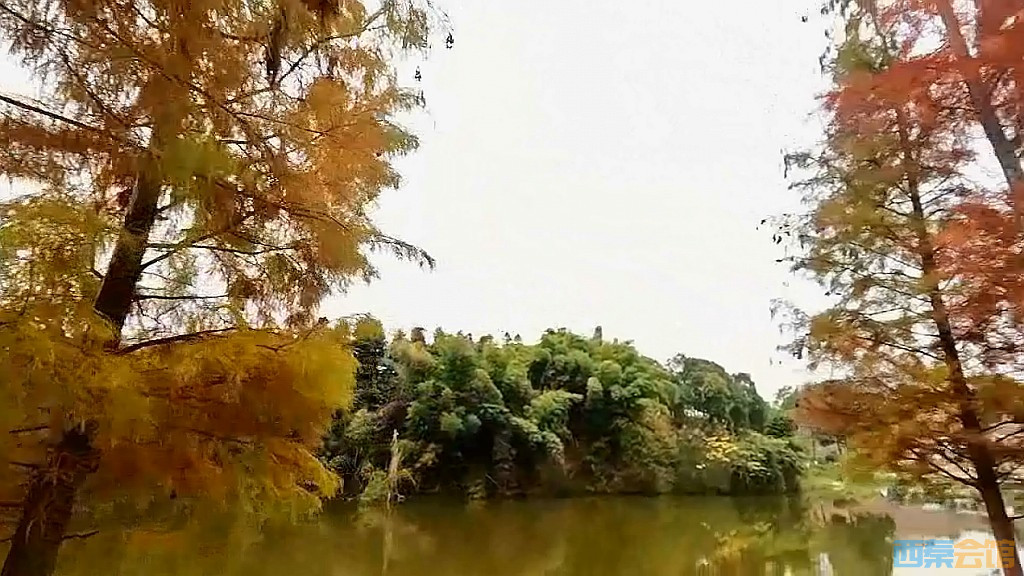conew_qqͼ20231218203921.jpg