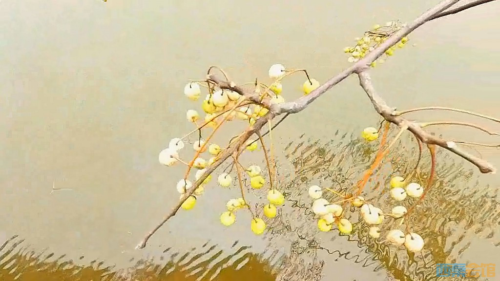 conew_qqͼ20231218202803.jpg